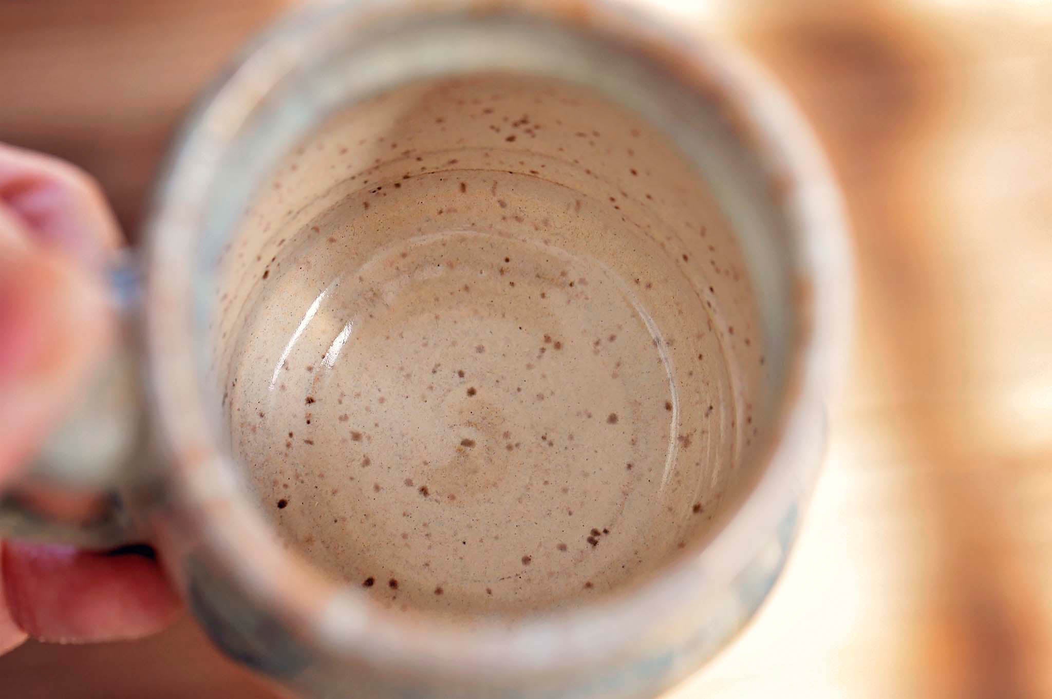 12.5oz Peach Wildflower Horse Mug